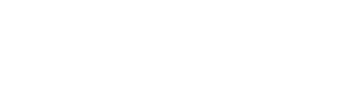 Skynex AI